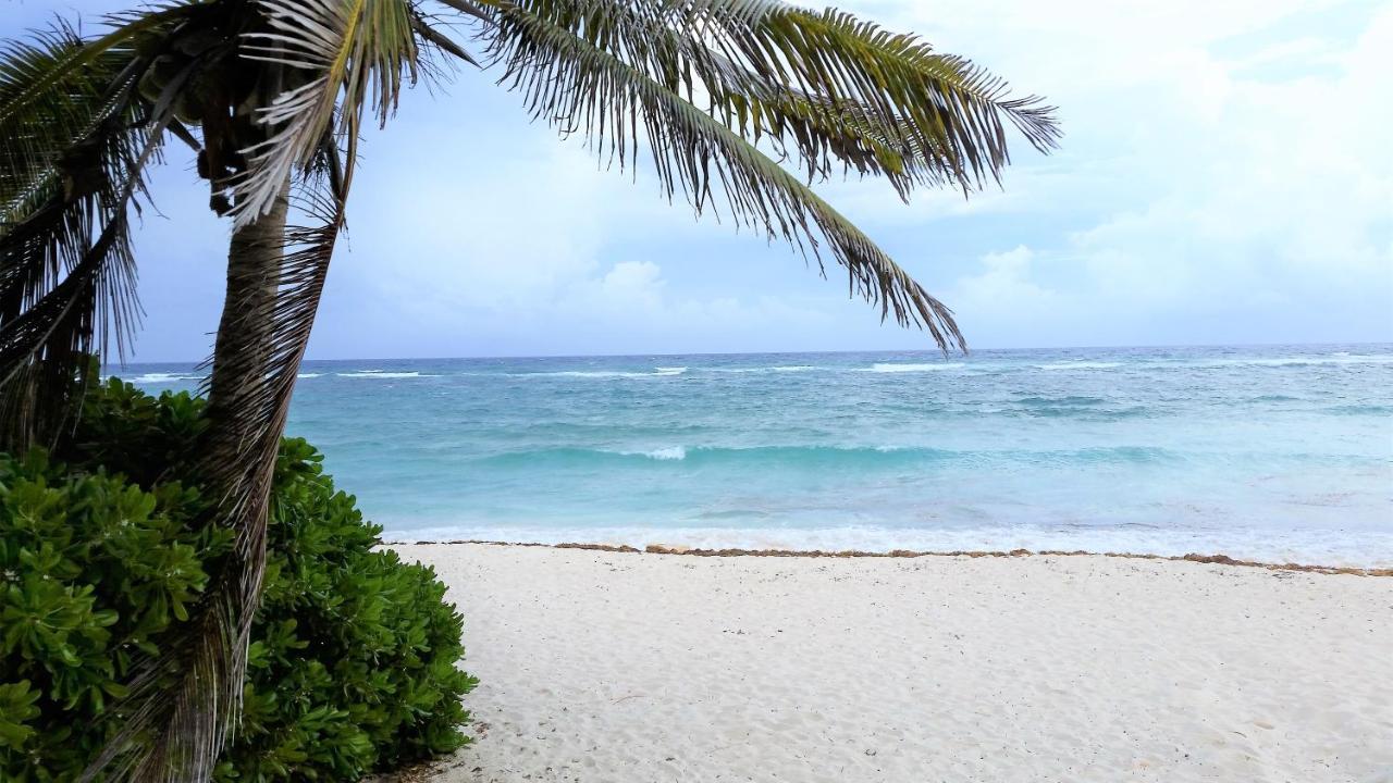 Riviera Maya Luxury Oceanfront Condo Akumal Ngoại thất bức ảnh